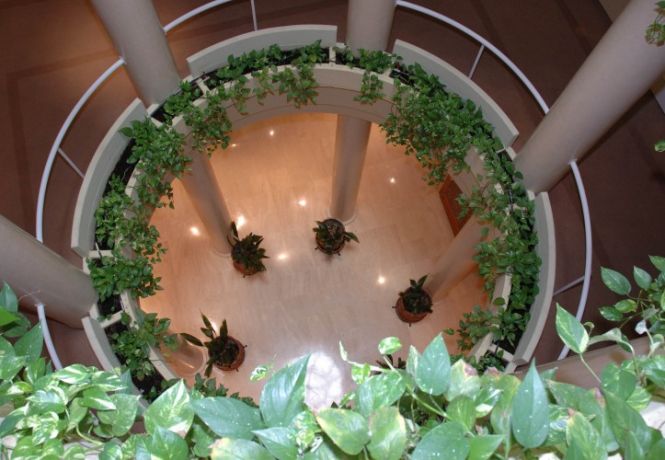Gran Hotel Solúcar Hall Jardineras