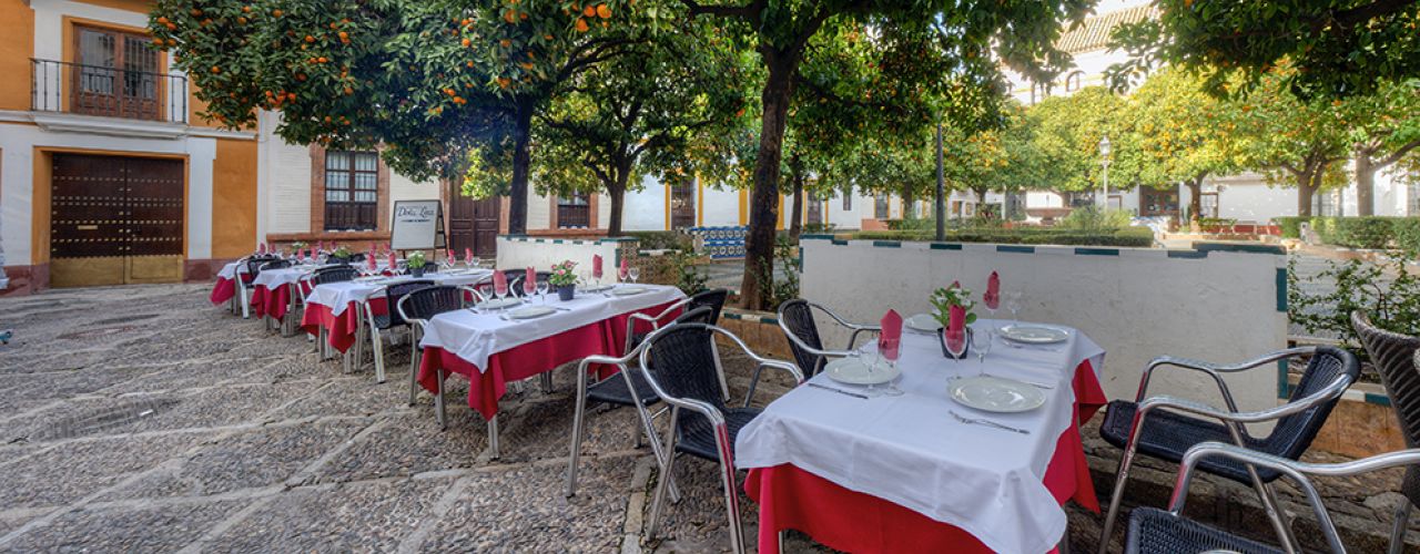 RESTAURANT AVEC TERRASSE SUR LA PLAZA DOÑA ELVIRA