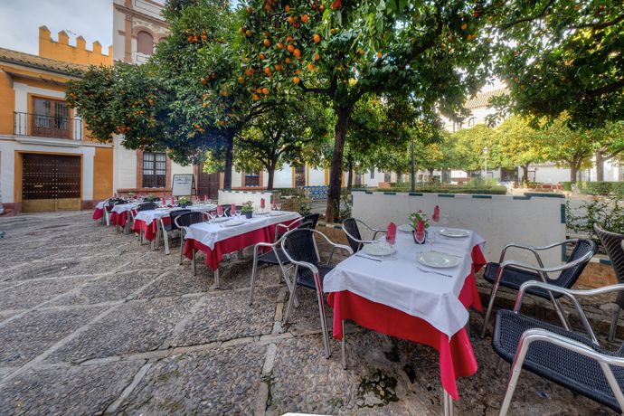 RESTAURANT AVEC TERRASSE SUR LA PLAZA DOÑA ELVIRA