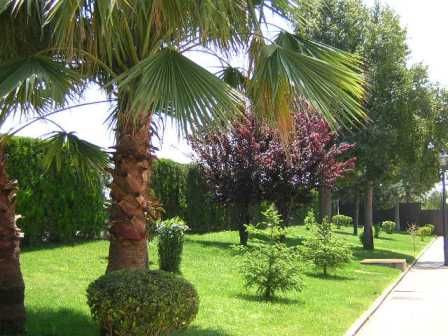 Jardín de la Reina Amplios jardines