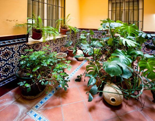 Detalle patio sevillano Hotel Adriano